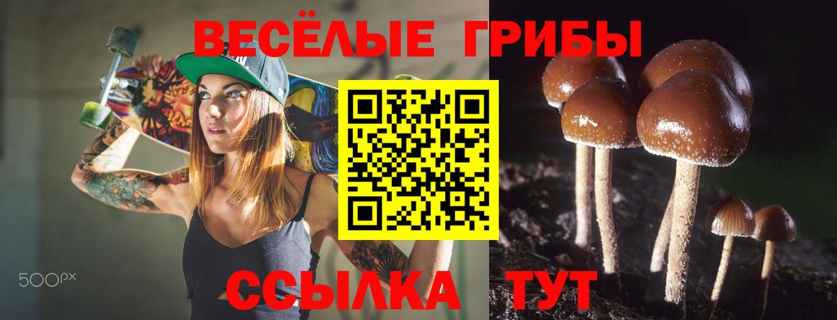 Галлюциногенные грибы Psilocybine cubensis  Вход с VPN  Галлюциногенные грибы мухоморы  Домодедово 